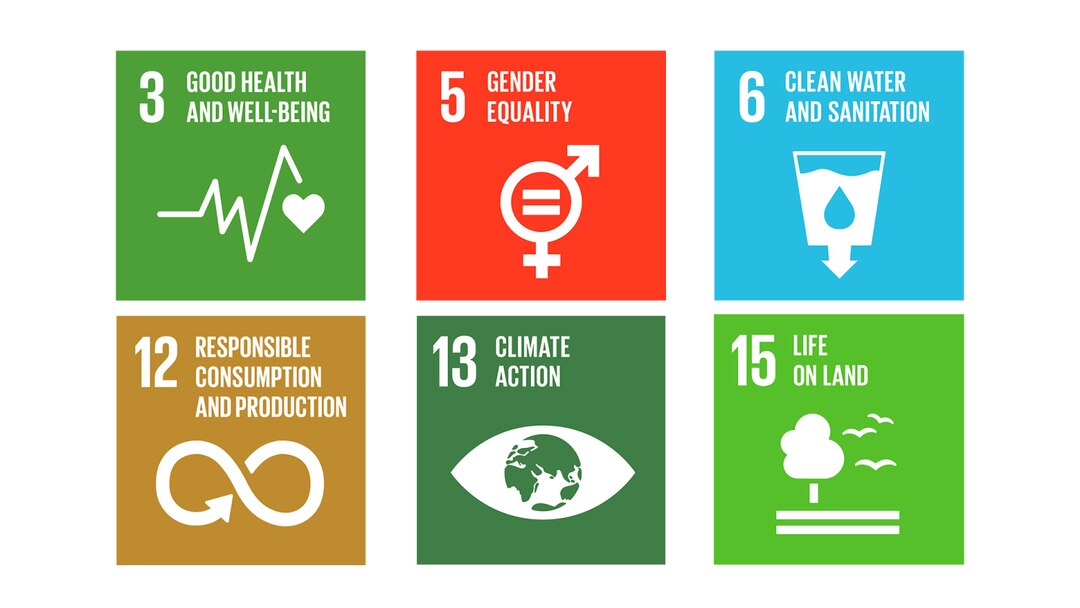 Sdg 6Goals