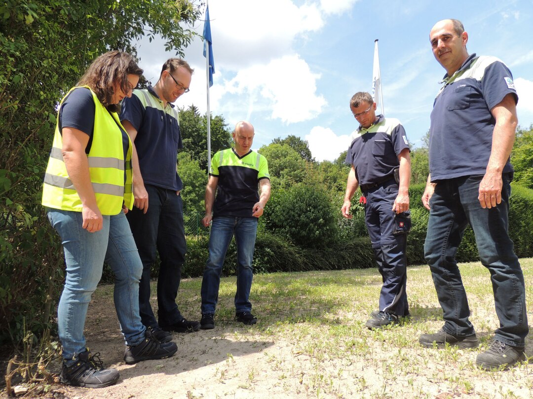 Essity 2018 Wiz Bienenwiese Mitarbeiter