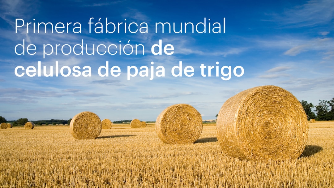 Primera Fábrica Mundial De Producción De Celulosa De Paja De Trigo