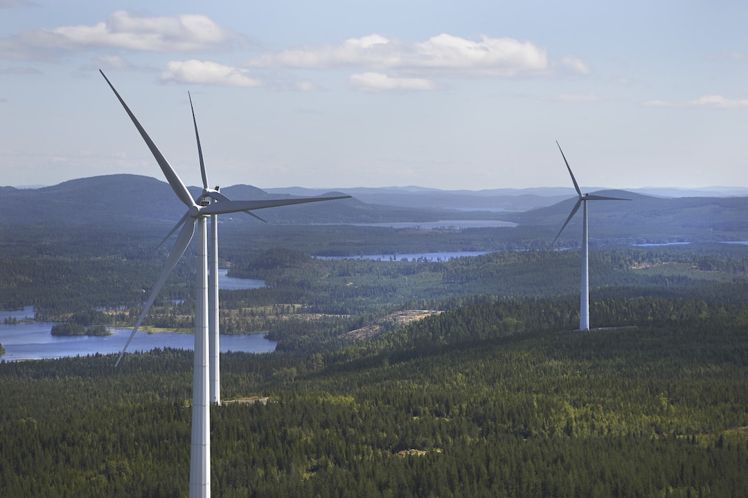 Windmühlen im Wald. 