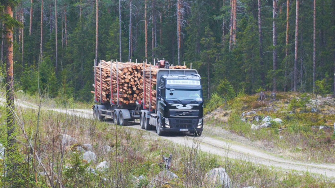 Timber Transport