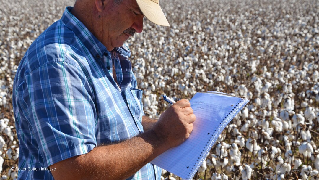 Inspecting Cottonfield