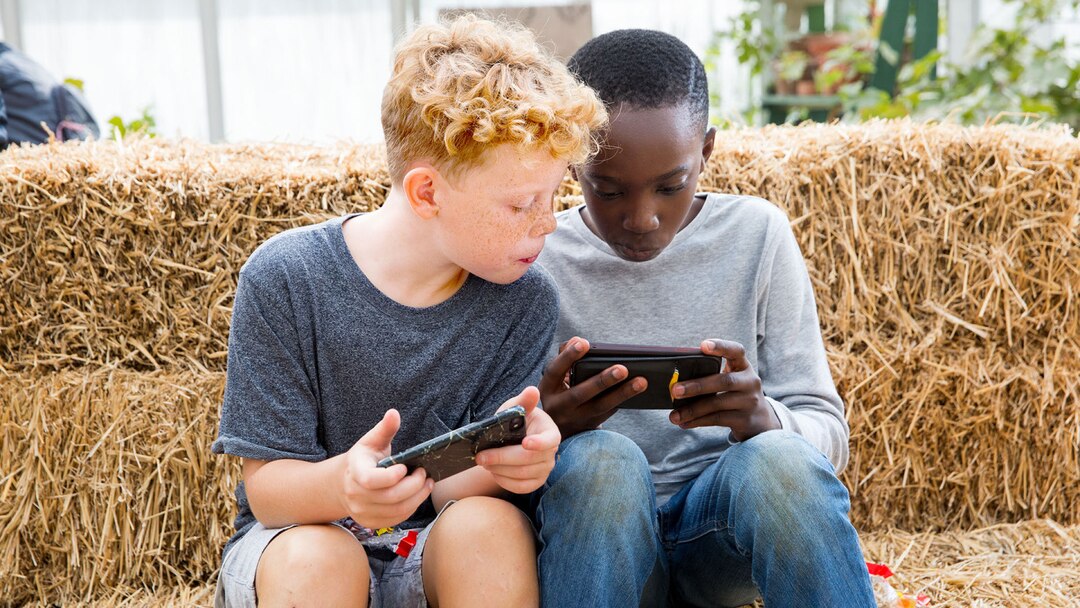 Young Boys Together Phones Hay Greenhouse