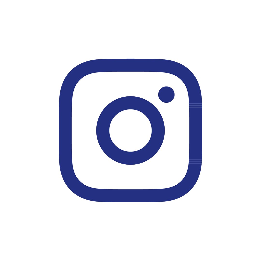 Essity Icon Instagram Cmyk 2 Colour
