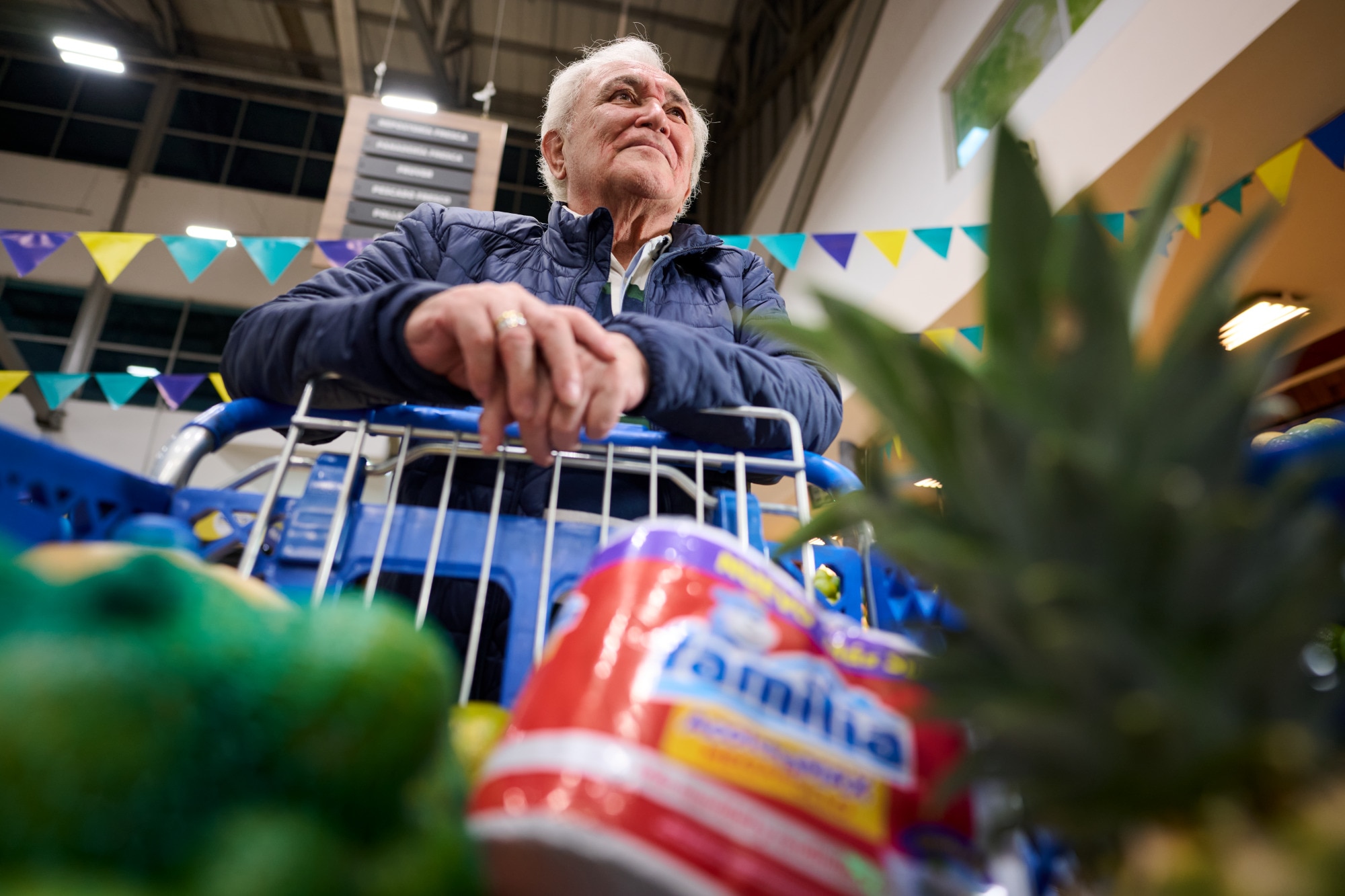 Man Shopping Cart