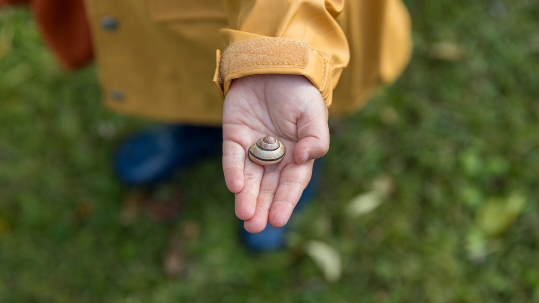 Kid Showing The Snail