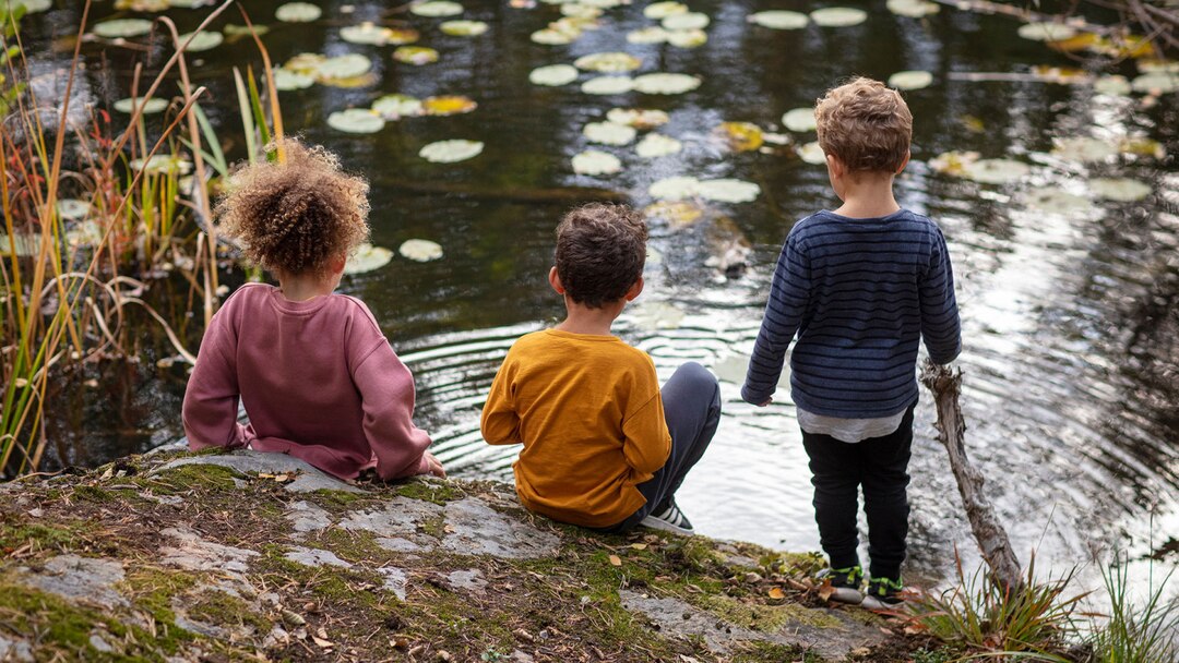 Kids In Front Of Lake And Lotus